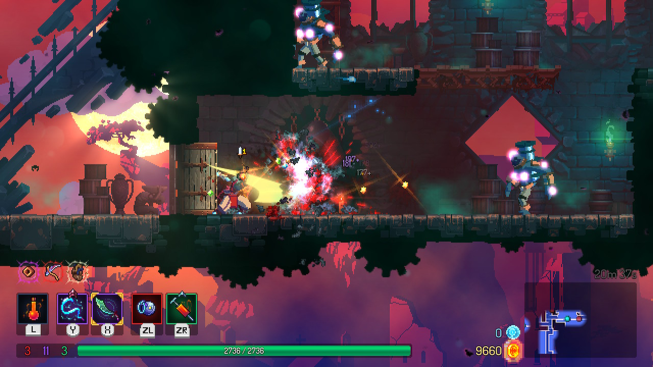 dead cells