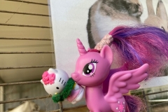 צ'אחלולה ראתה שחברתה נחטפה והיא ידעה שהיא חייבת להציל אותה לפני שיהיה מאוחר מדי!