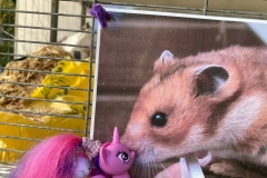 אבל מושיקו האוגר לא נתן לזה לקרות!