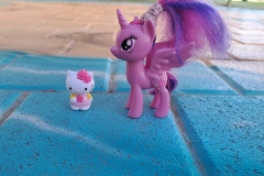 יום אחד הן נפגשו