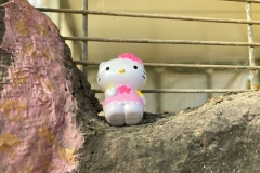 הלו קיטי היתה מאוד עצובה ובודדה