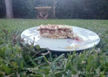 עוגת ביסקויטים שגם אתם יכולים להכין