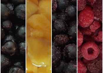 שייקים מטריפים