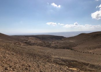 האם אתם יודעים היכן אפשר למצוא את החיפושית "מלדרה מטרידה"?