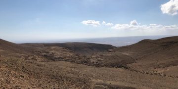 האם אתם יודעים היכן אפשר למצוא את החיפושית "מלדרה מטרידה"?