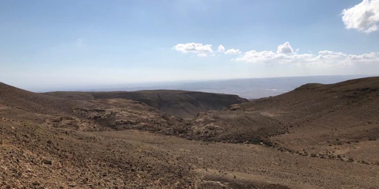 האם אתם יודעים היכן אפשר למצוא את החיפושית "מלדרה מטרידה"?