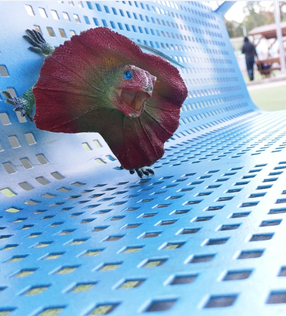 איגואנה ואריה עושים פוזות במיוחד בשבילנו