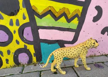 צילום מהעיניים שלנו