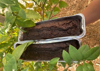 עוגת השוקולד הכי טעימה שיש!