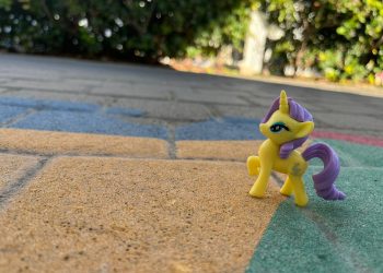 מצלמים בזווית אחרת