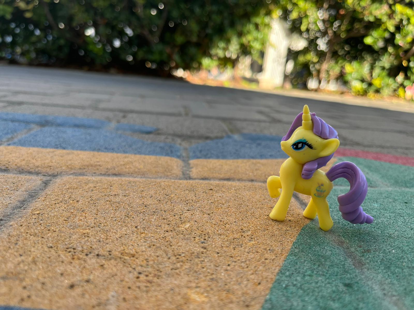 מצלמים בזווית אחרת