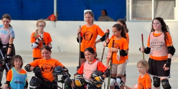 קבוצת הוקי רולר נס ציונה