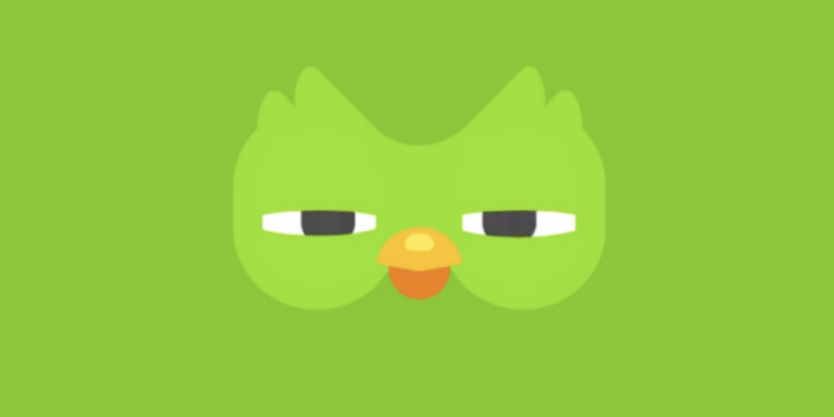 ללמוד שפה חדשה: DUOLINGO