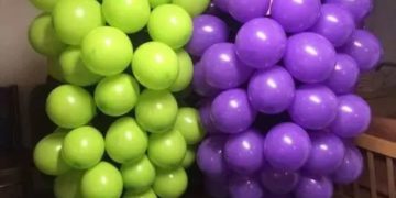 תחפושת ענבים