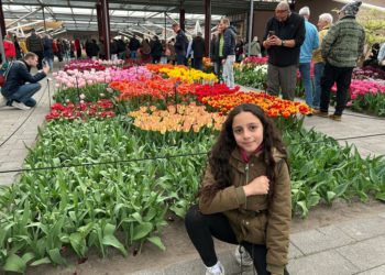 Keuknhof  פארק הפרחים המפורסם בהולנד