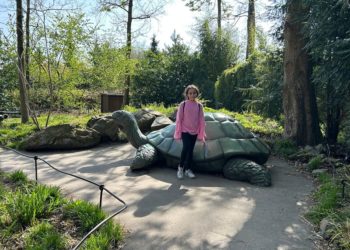 The Efteling בהולנד